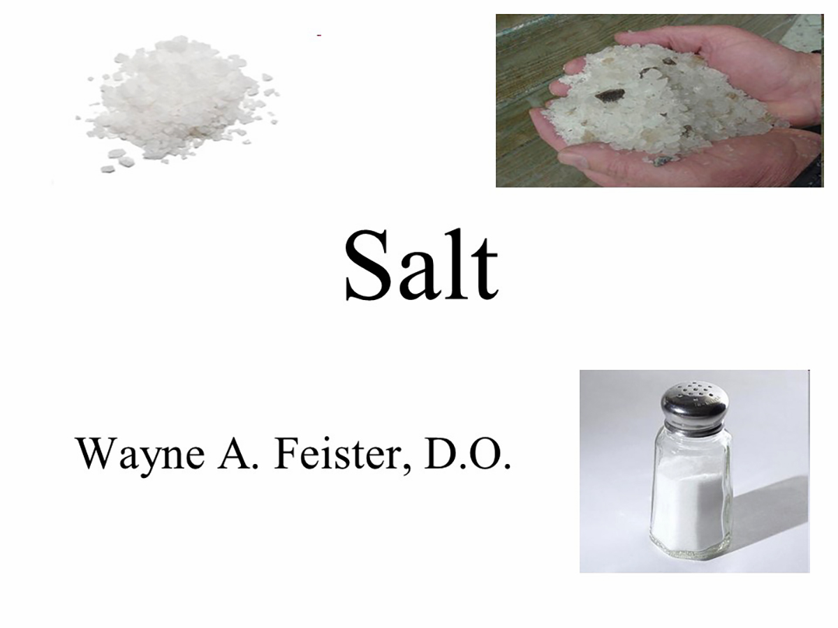 SALT Presentation Slides
